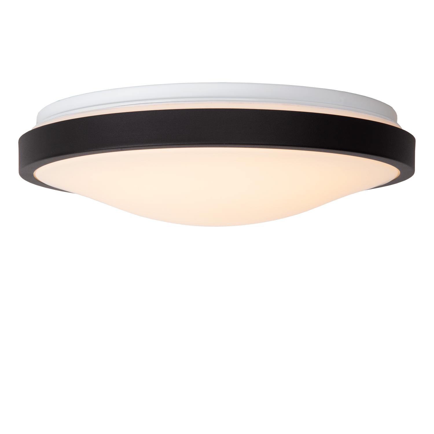 Dasher Ceiling Lights - Matt Black/Opal - 348mm Diameter