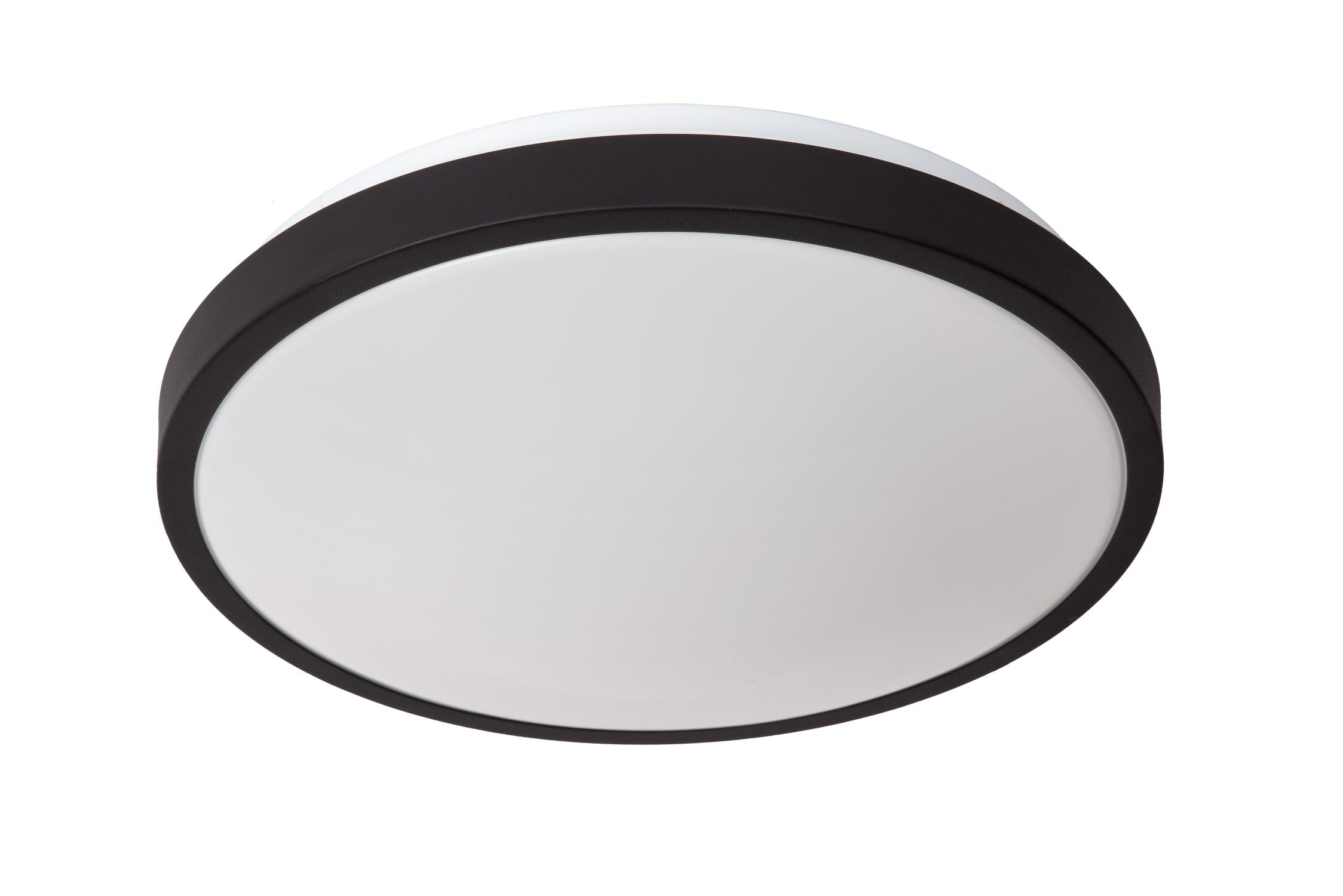 Dasher Ceiling Lights - Matt Black/Opal - 348mm Diameter