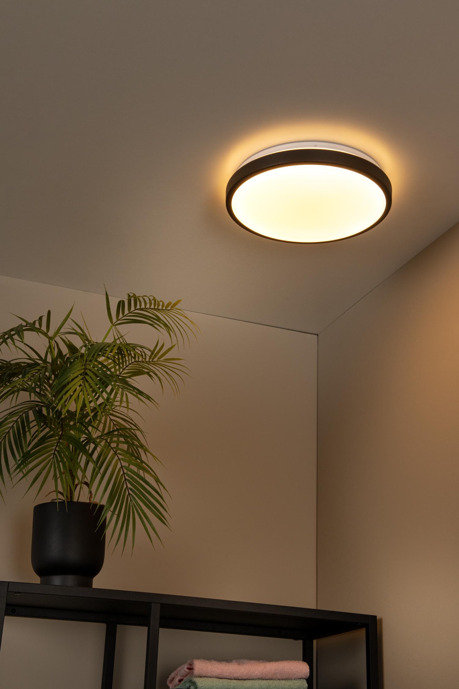 Dasher Ceiling Lights - Matt Black/Opal - 348mm Diameter