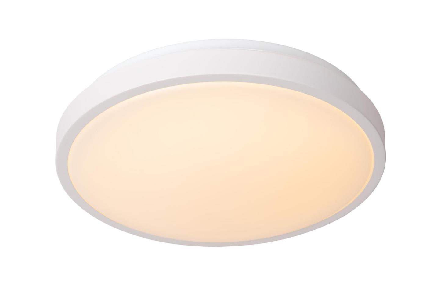 Dasher Ceiling Lights - Matt Black/Opal - 348mm Diameter