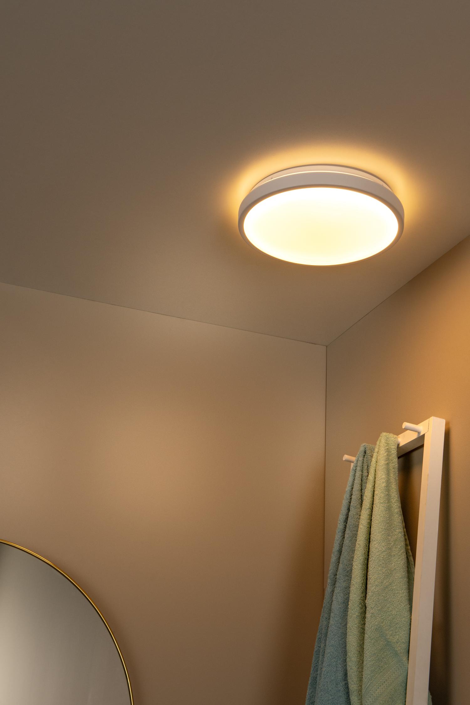 Dasher Ceiling Lights - Matt Black/Opal - 348mm Diameter