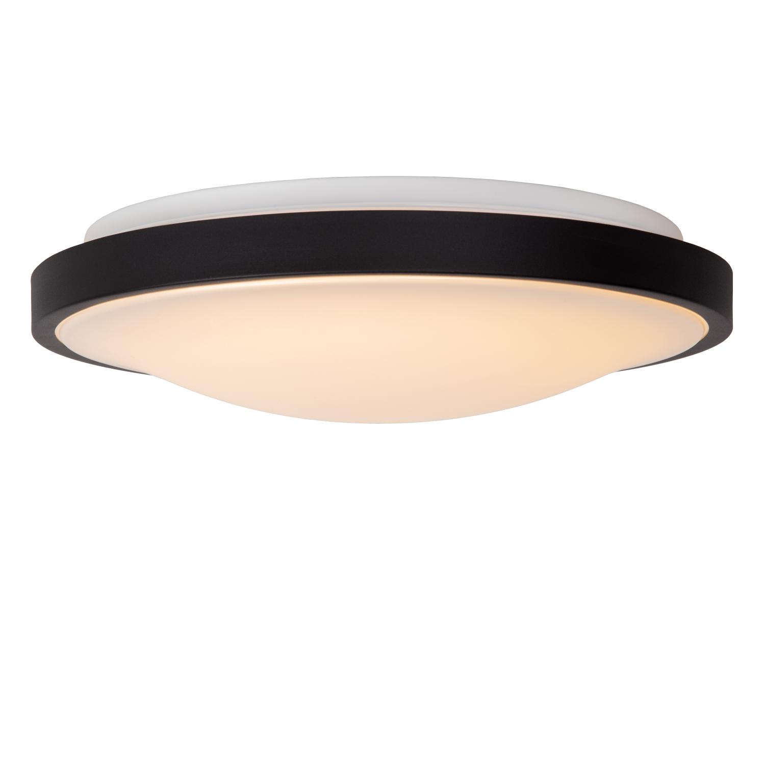 Dasher Ceiling Lights - Matt Black/Opal - 410mm Diameter