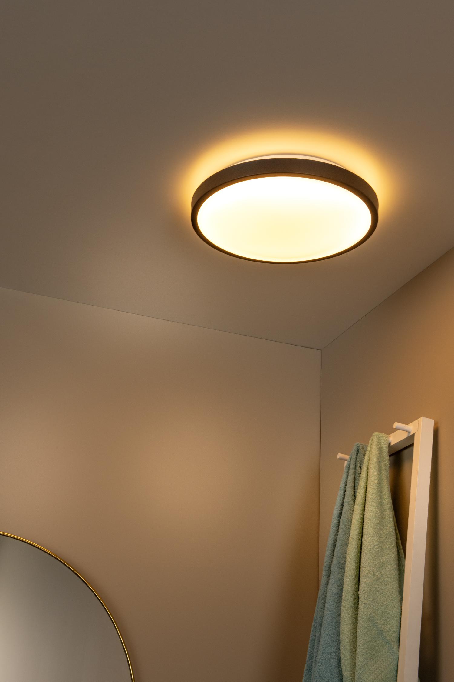 Dasher Ceiling Lights - Matt Black/Opal - 410mm Diameter