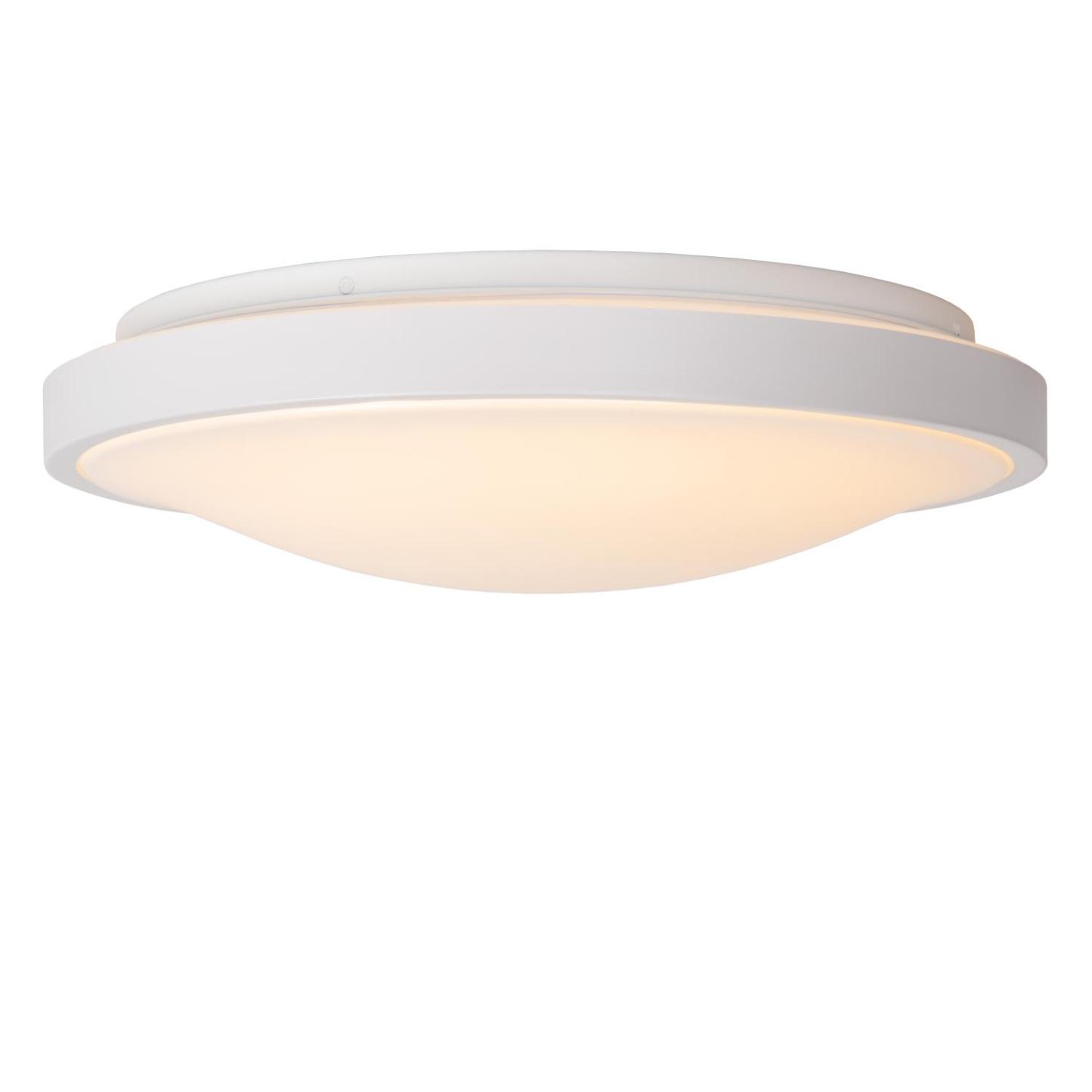 Dasher Ceiling Lights - Matt Black/Opal - 410mm Diameter