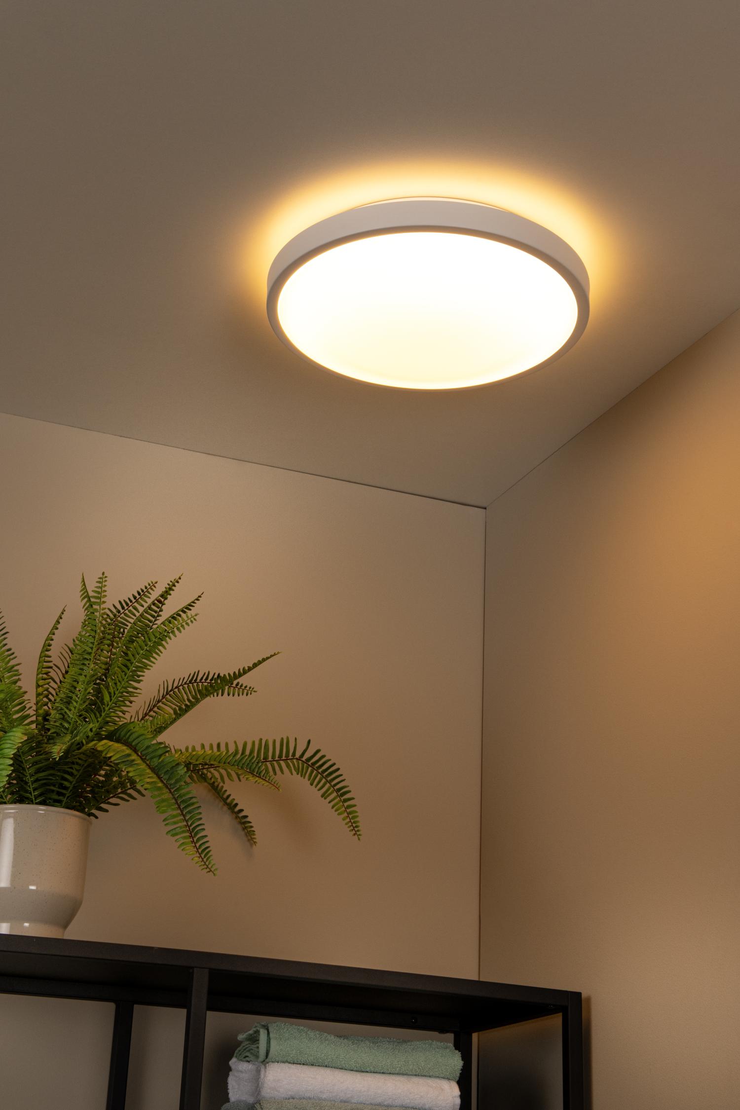 Dasher Ceiling Lights - Matt Black/Opal - 410mm Diameter