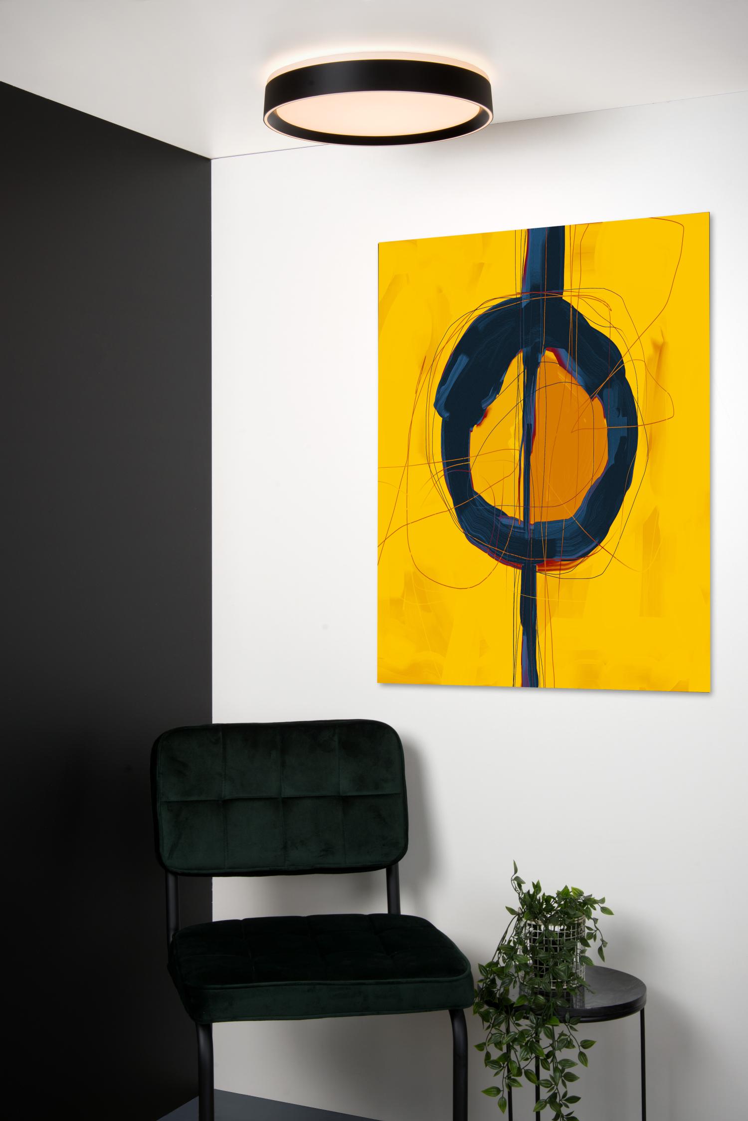 Nuria Ceiling Lights - Matt Black/Opal - 300mm Diameter