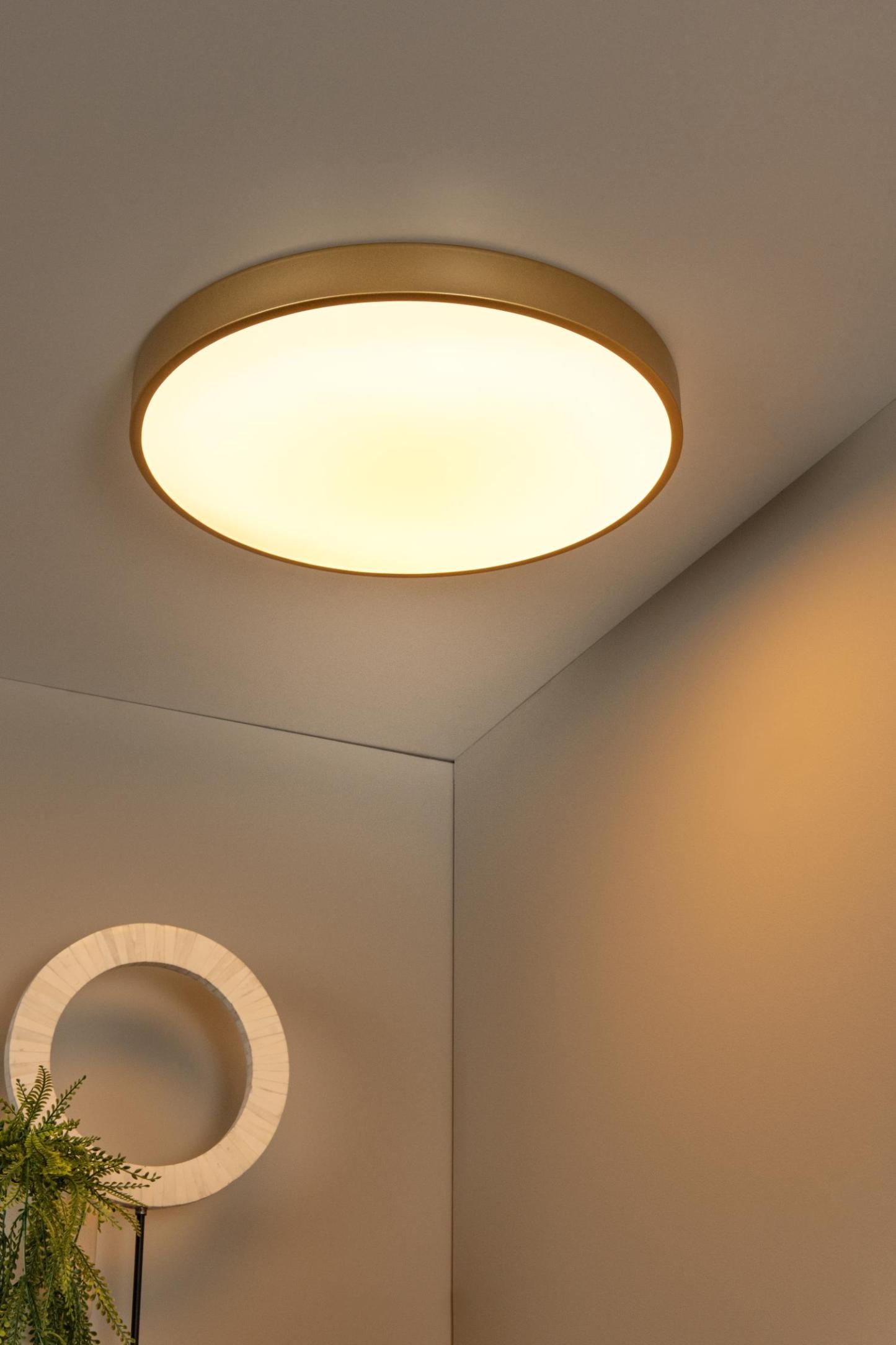 Unar Ceiling Lights - Matt Gold/Opal - 495mm Diameter