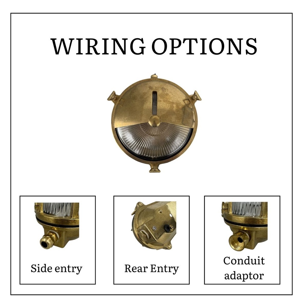 Trivor Outdoor Wall Light - Eyelid