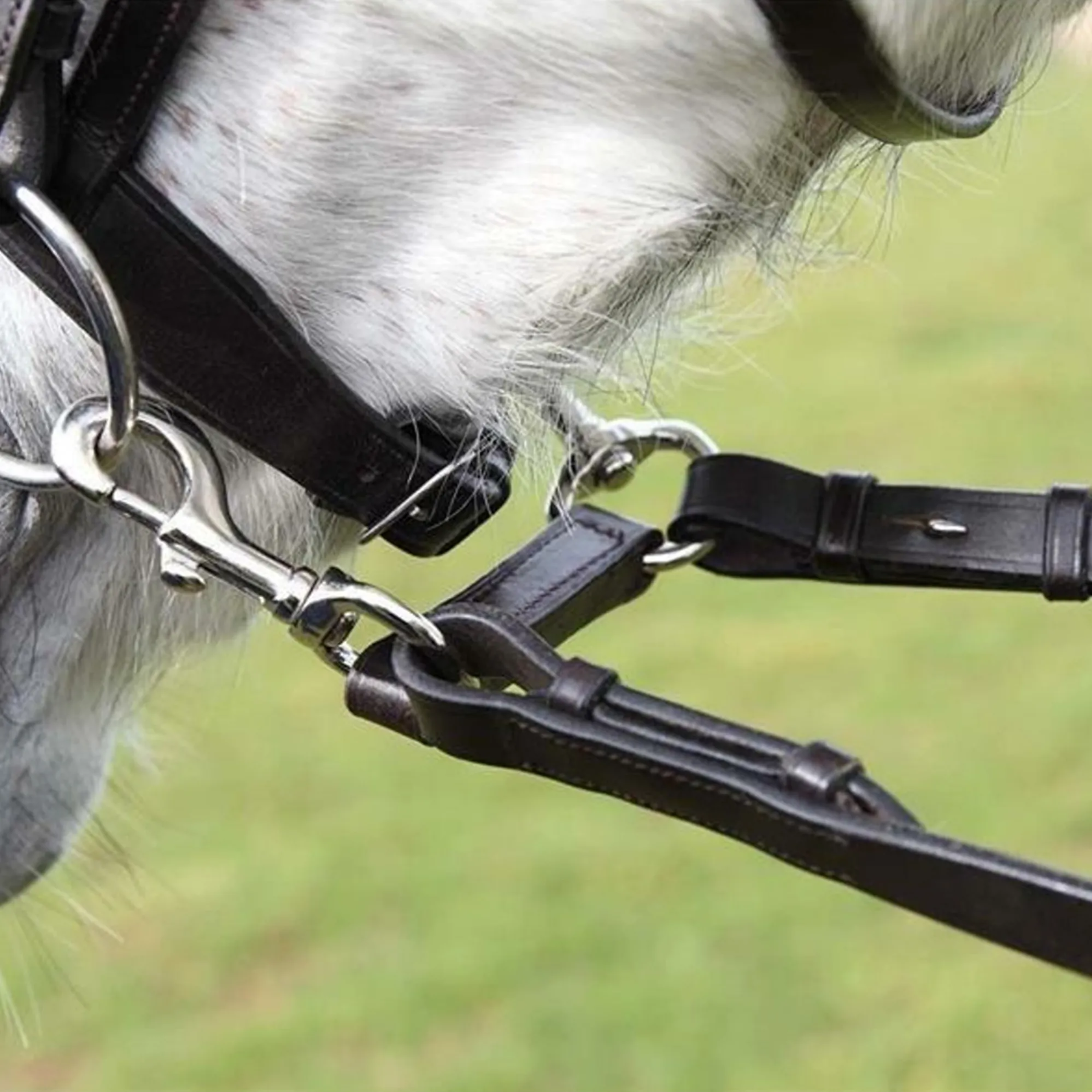 DRAGONFLY REIN ATTACHMENT HAV