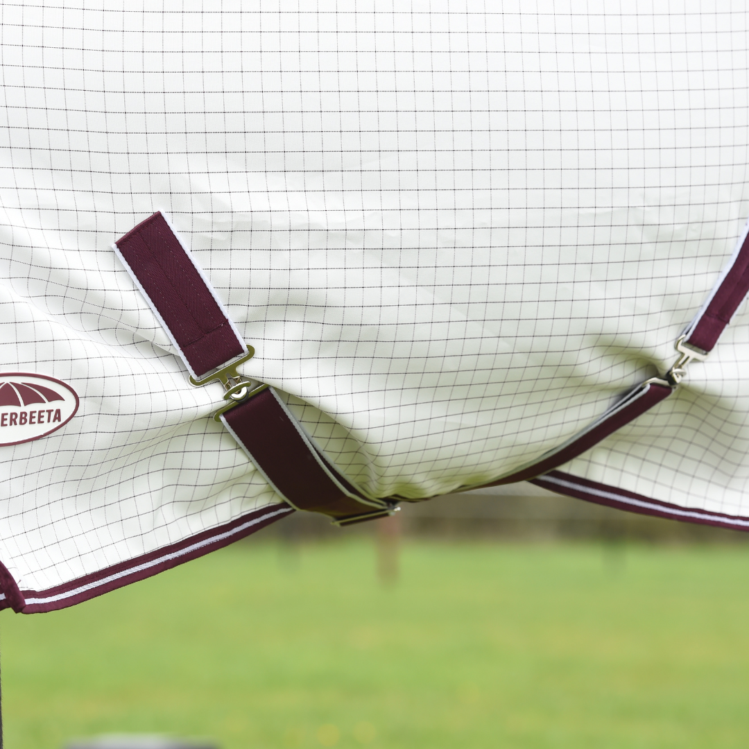 WeatherBeeta Hybrid Seasons Summer Sheet Combo Rug