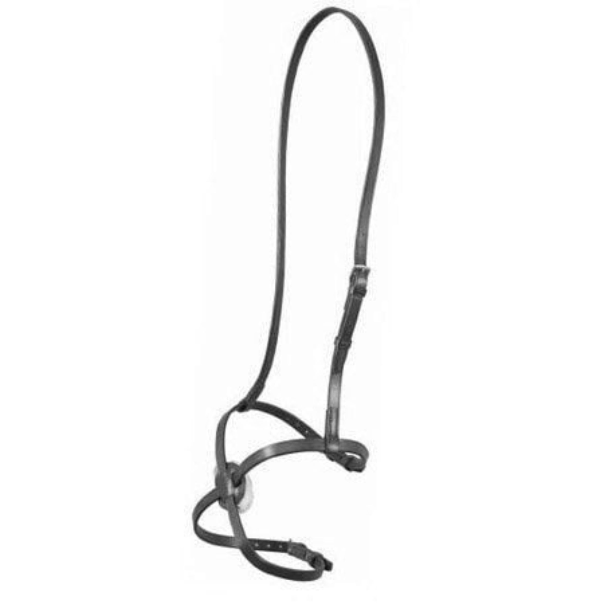 Falcon Grackle Noseband