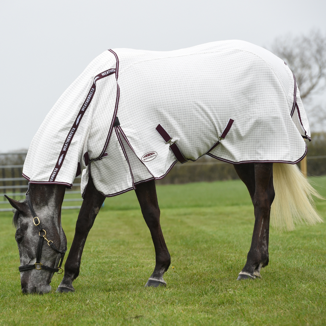 WeatherBeeta Hybrid Seasons Summer Sheet Combo Rug