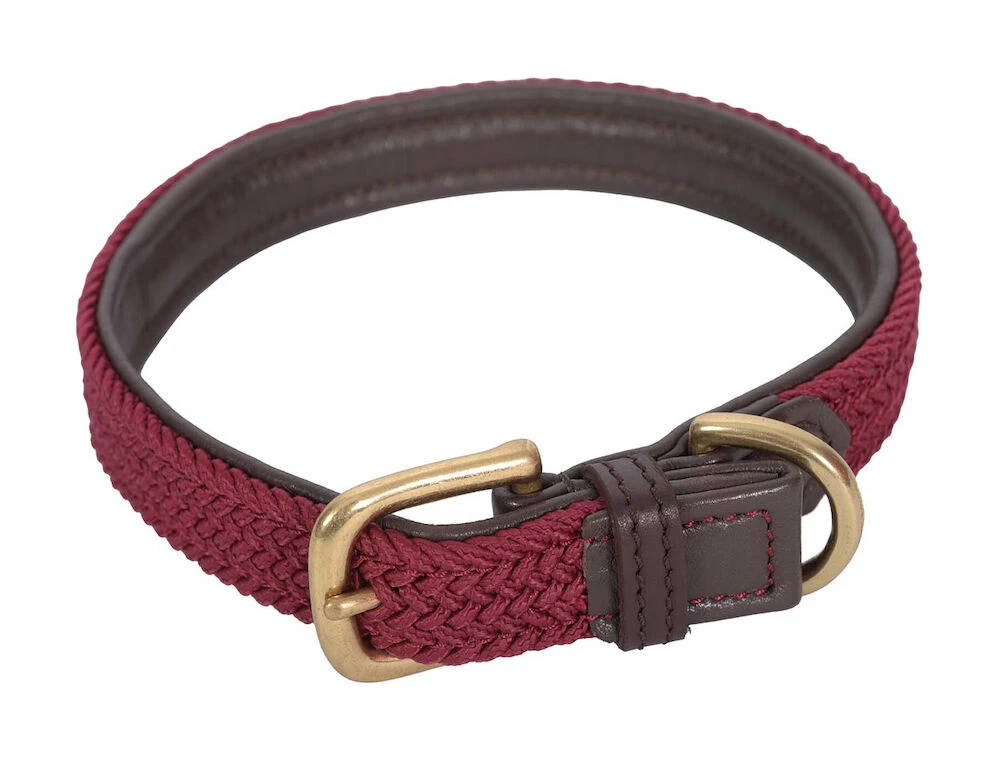 Weatherbeeta Leather Plaited Dog Collar