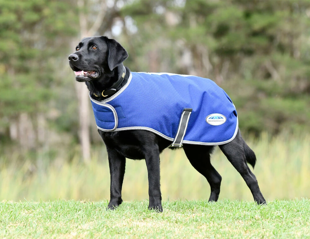 Weatherbeeta Comfitec Premier Free Parka Dog Coat