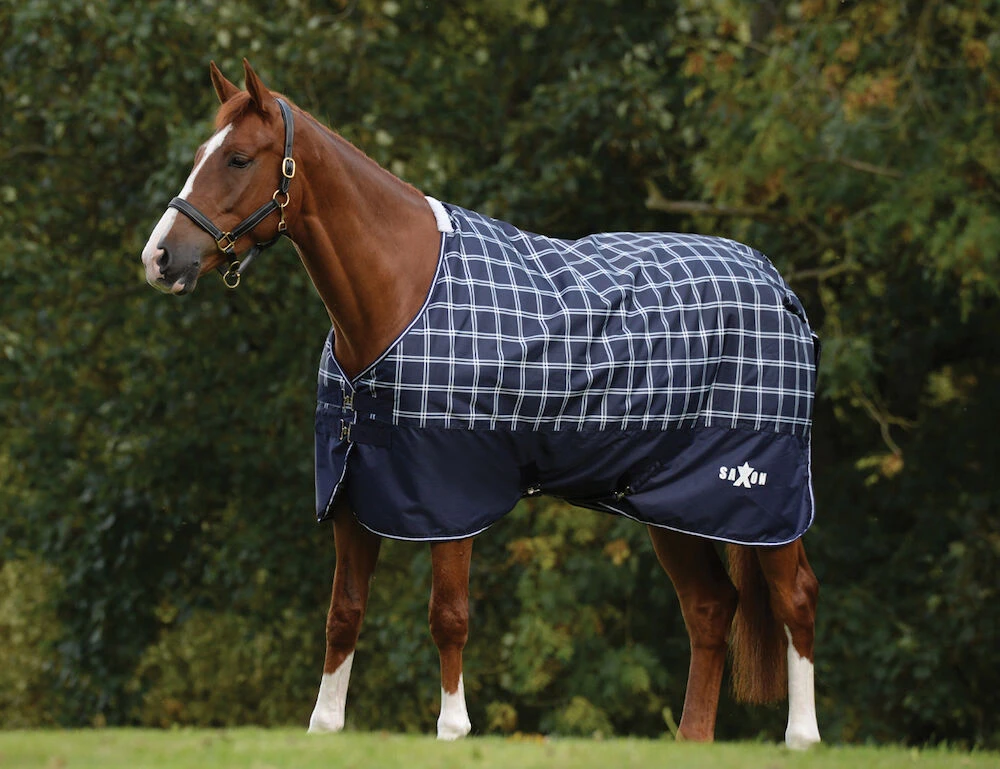 Saxon Defiant 600D 200g Standard Neck Turnout Rug