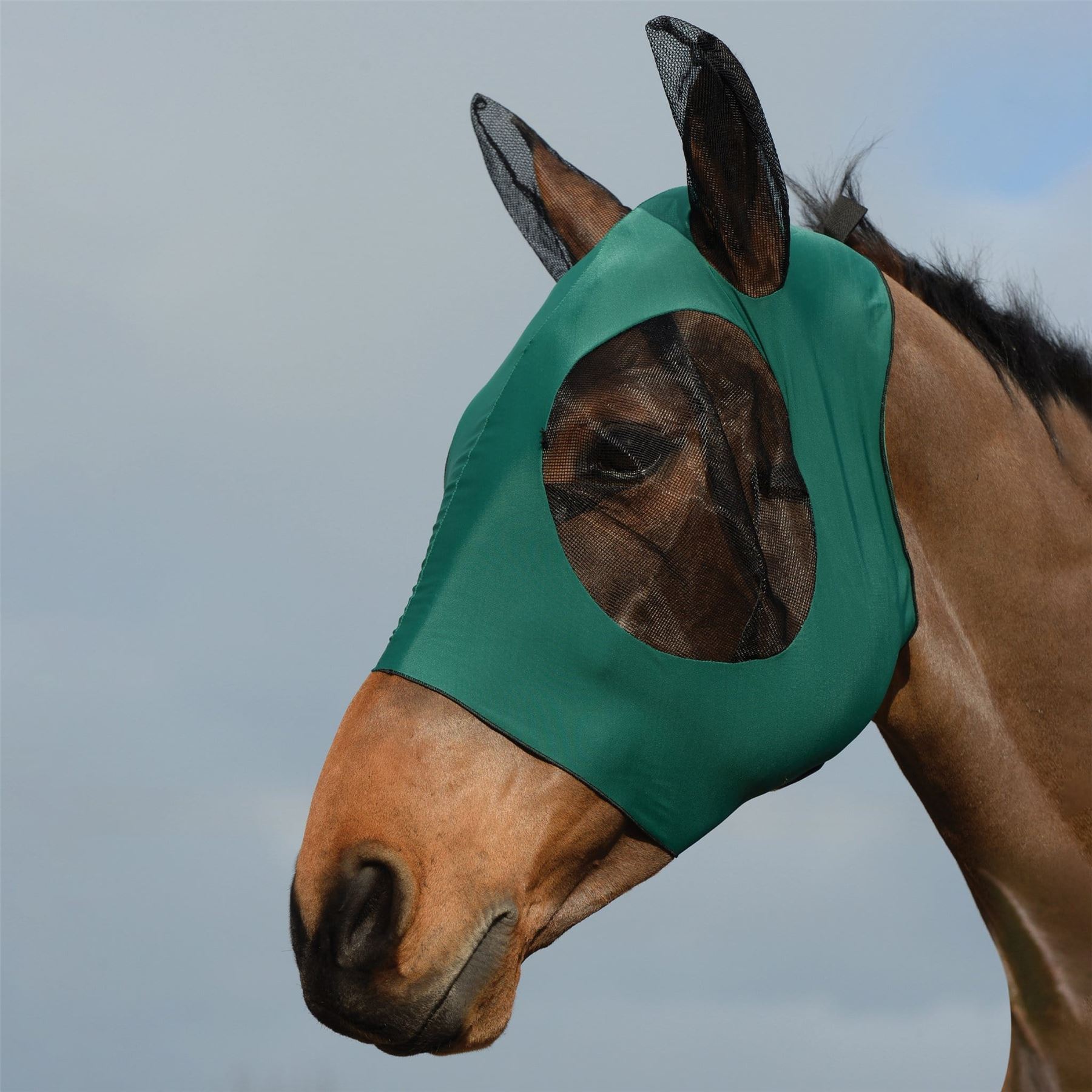 Weatherbeeta Stretch Bug Eye Saver With Ears