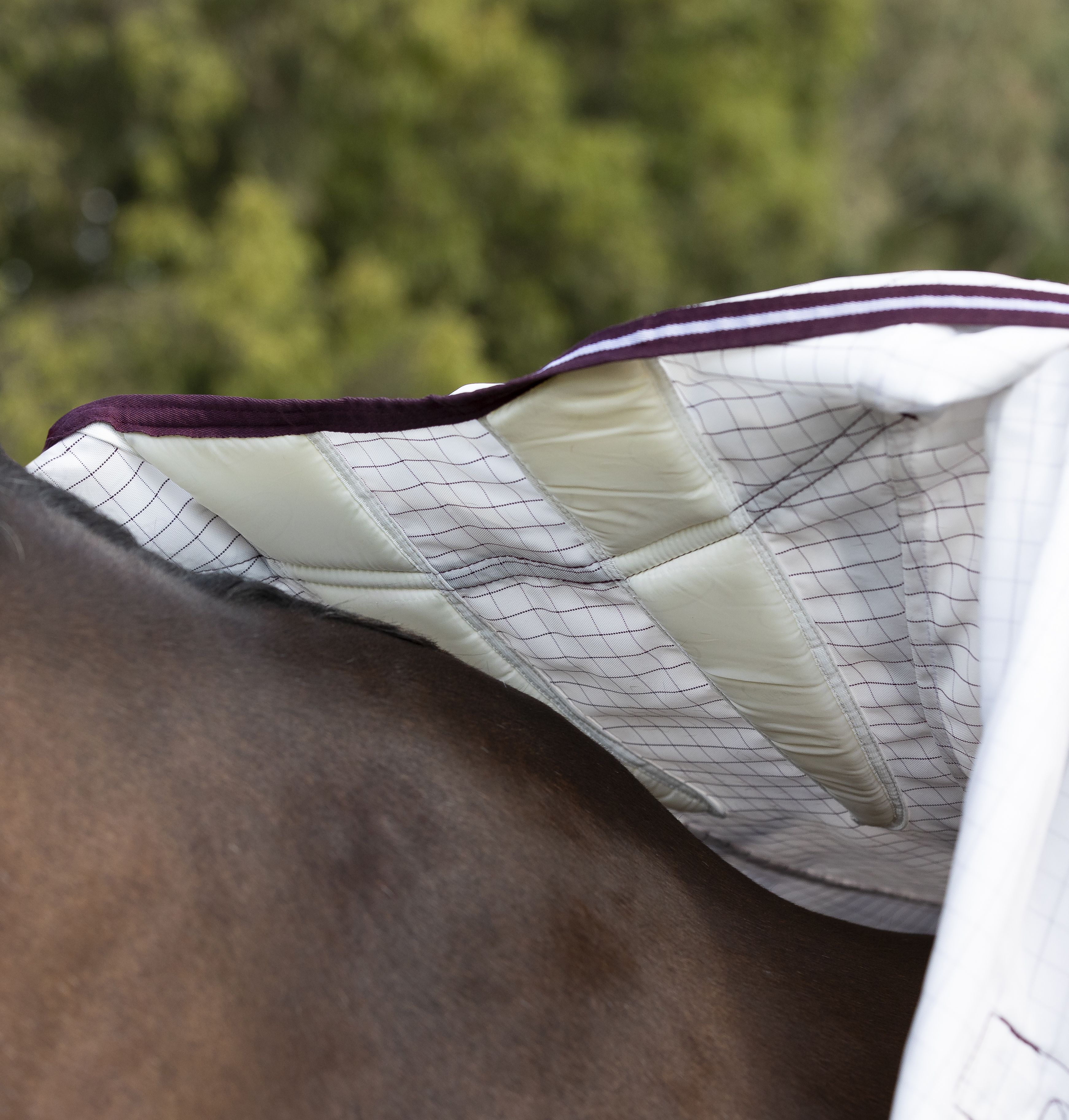 WeatherBeeta Hybrid Seasons Summer Sheet Combo Rug