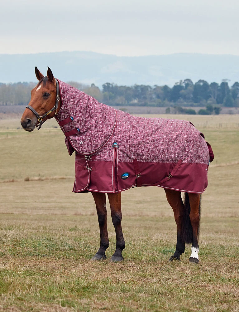 Weatherbeeta Comfitec Limited Edition Turnout Detach-A-Neck 220G Bit Print