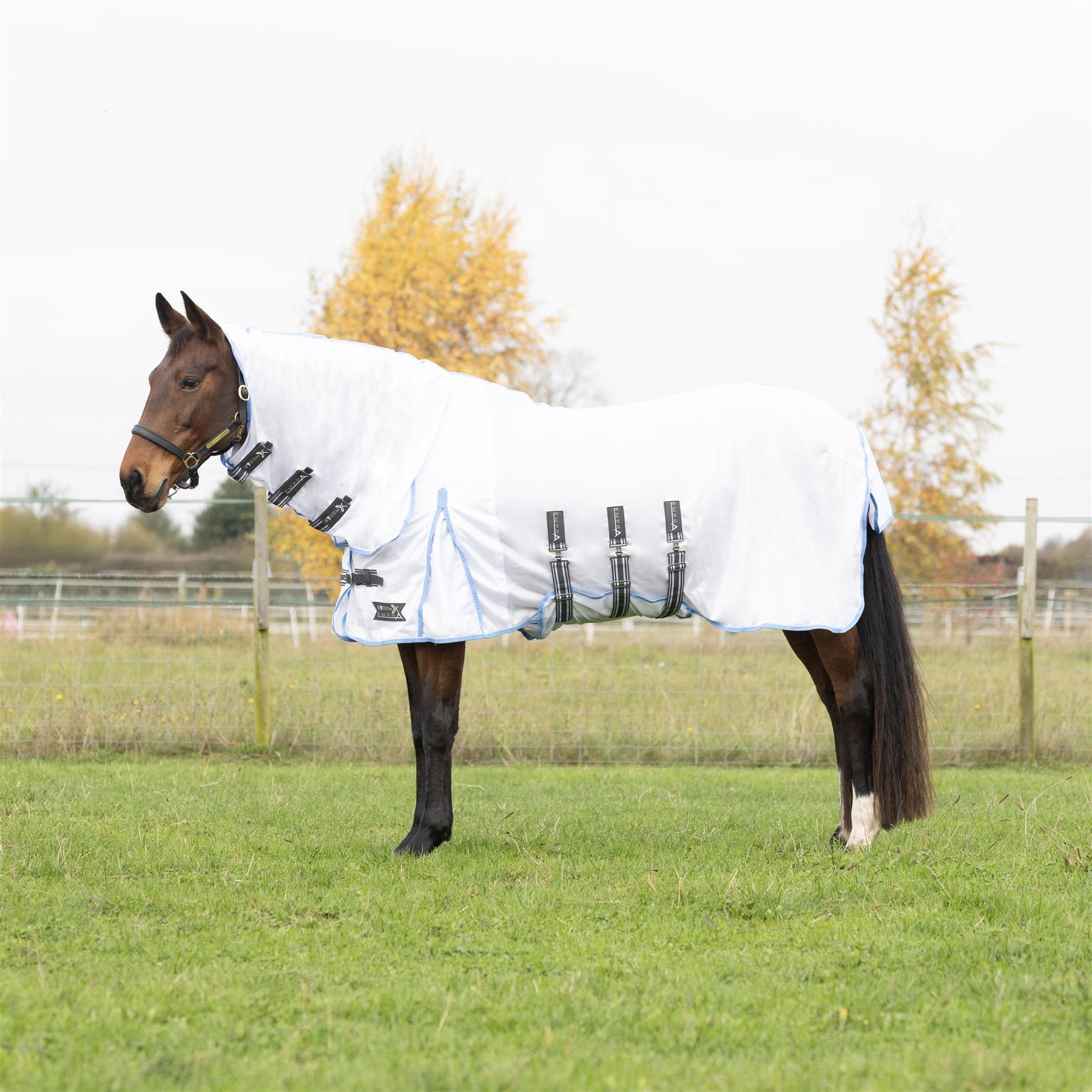 StormX Empra Gladiator UV Combi Fly Rug