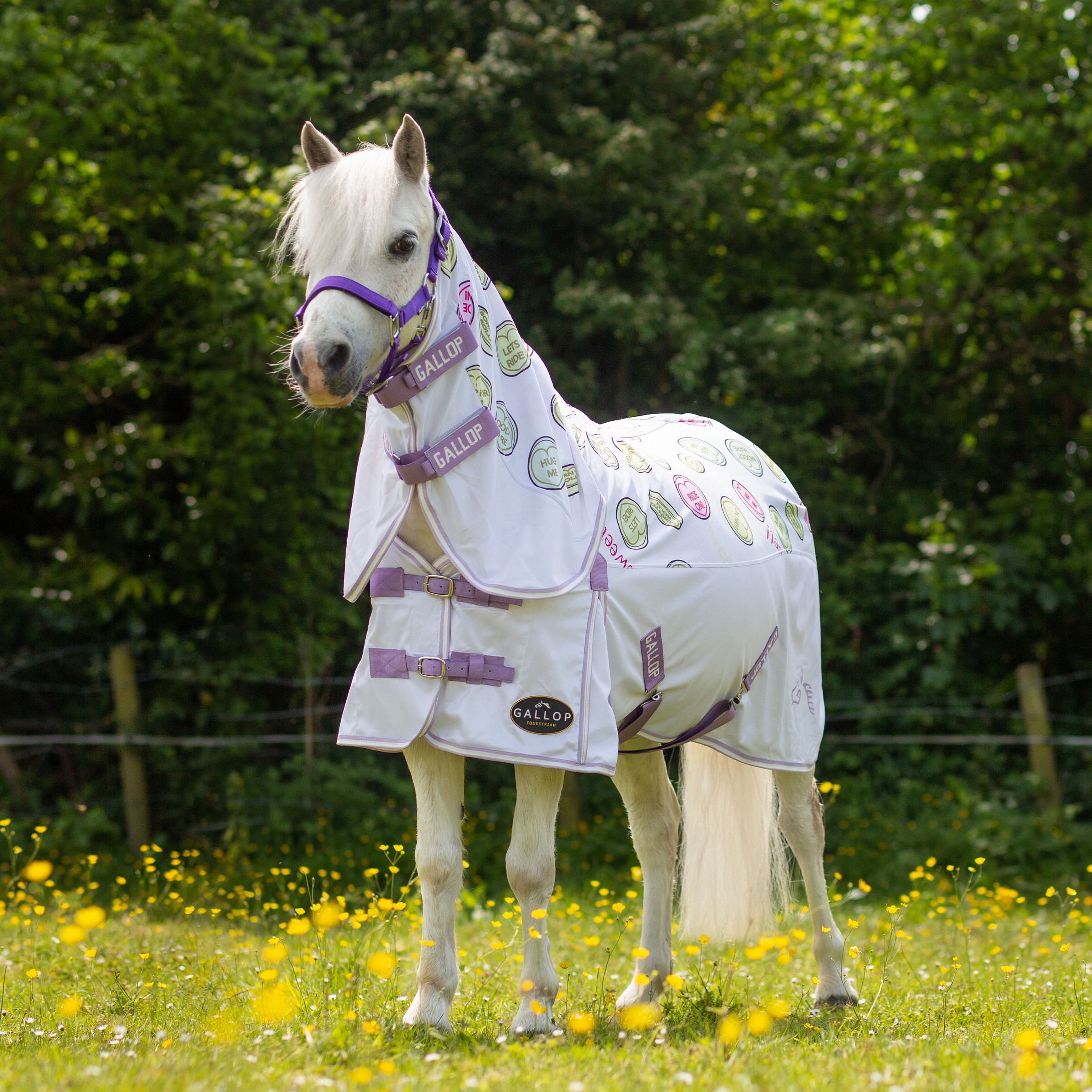 Gallop Ponie Sweet Treats Combo Fly Rug