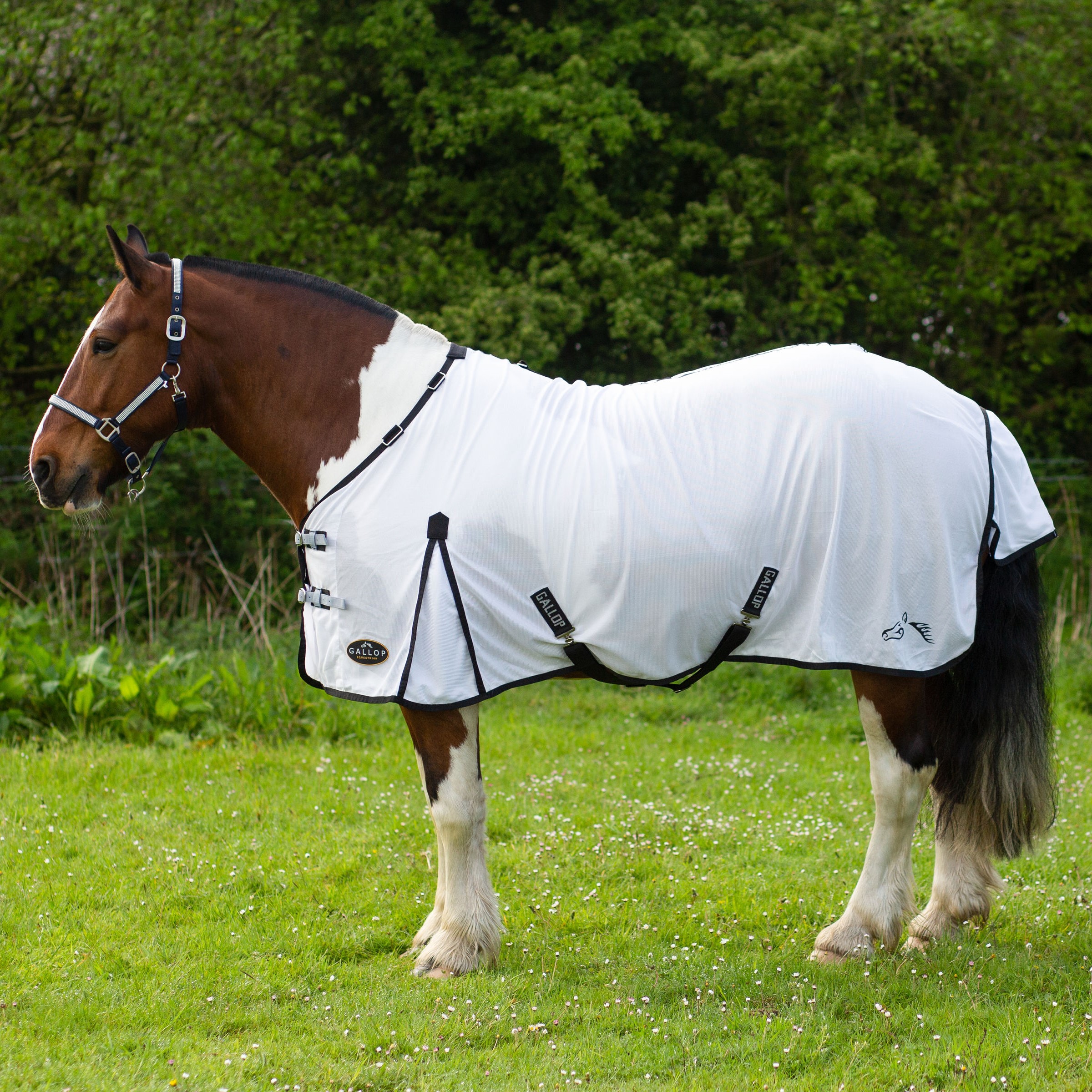 Gallop Dual Detachable Neck Fly Rug
