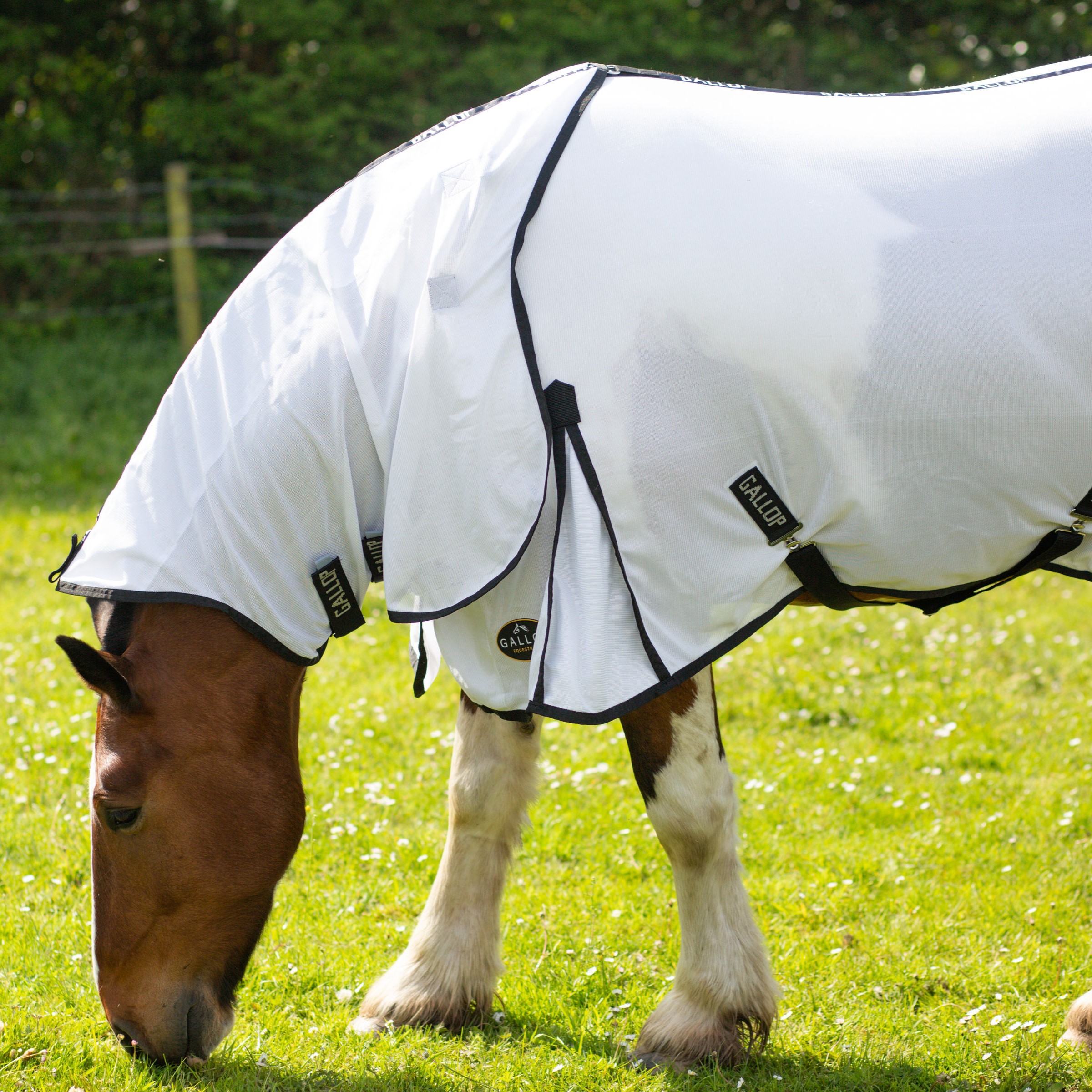 Gallop Dual Detachable Neck Fly Rug