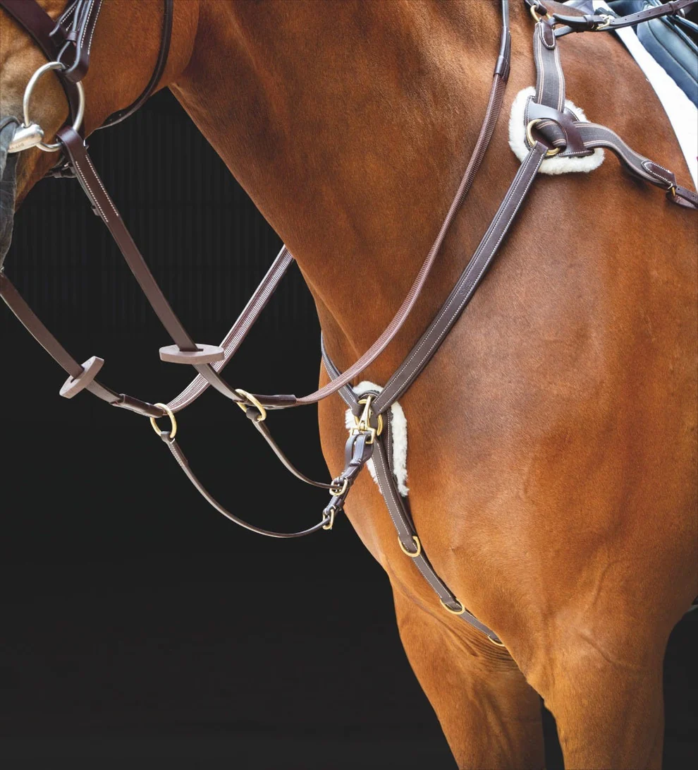 Salisbury 5 Point Breastplate