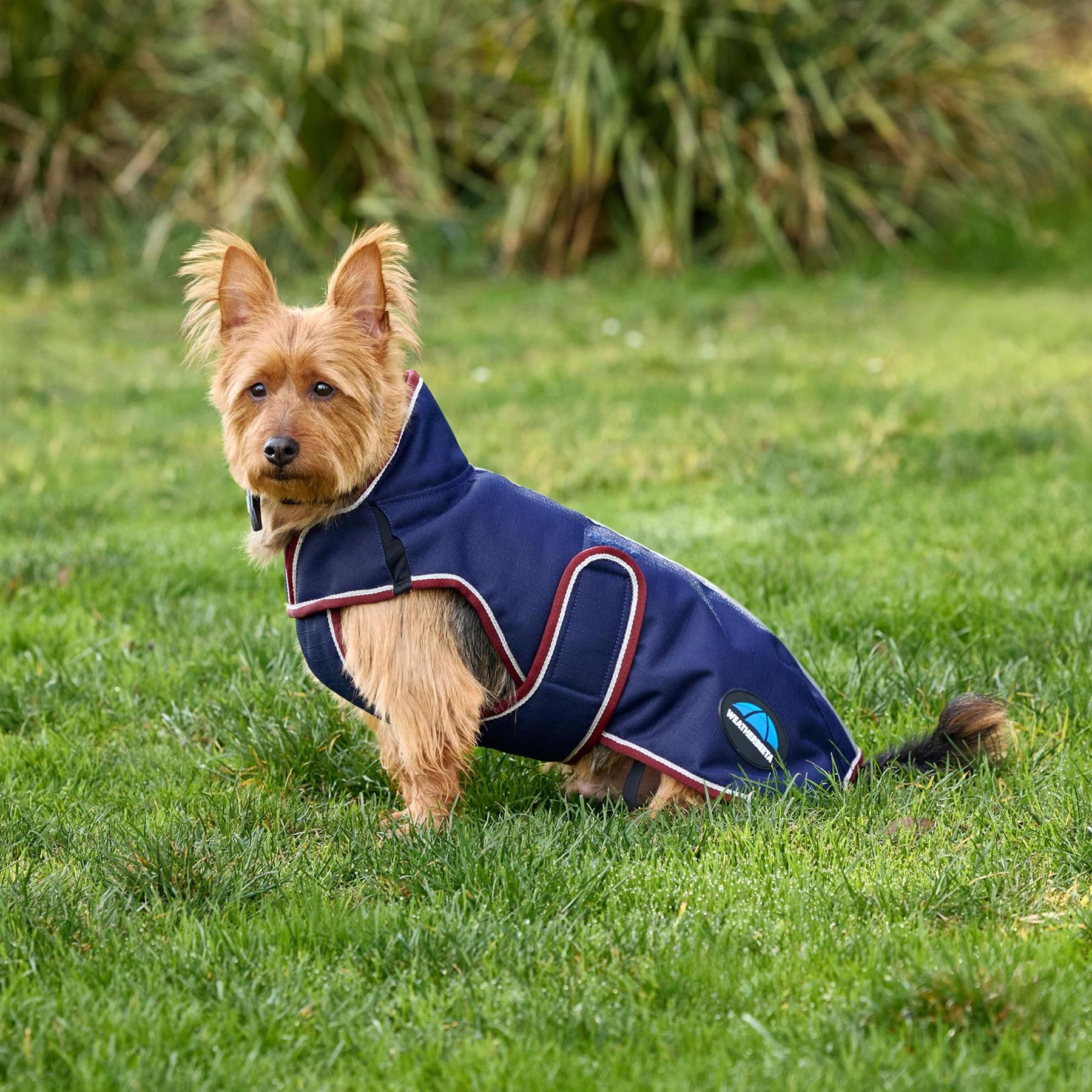 Weatherbeeta Comfitec Premier Deluxe Waterproof Dog Coat