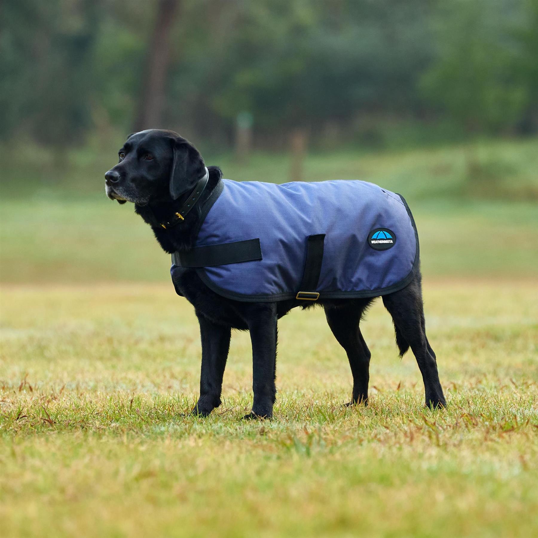 Weatherbeeta Comfitec Classic Waterproof Dog Coat