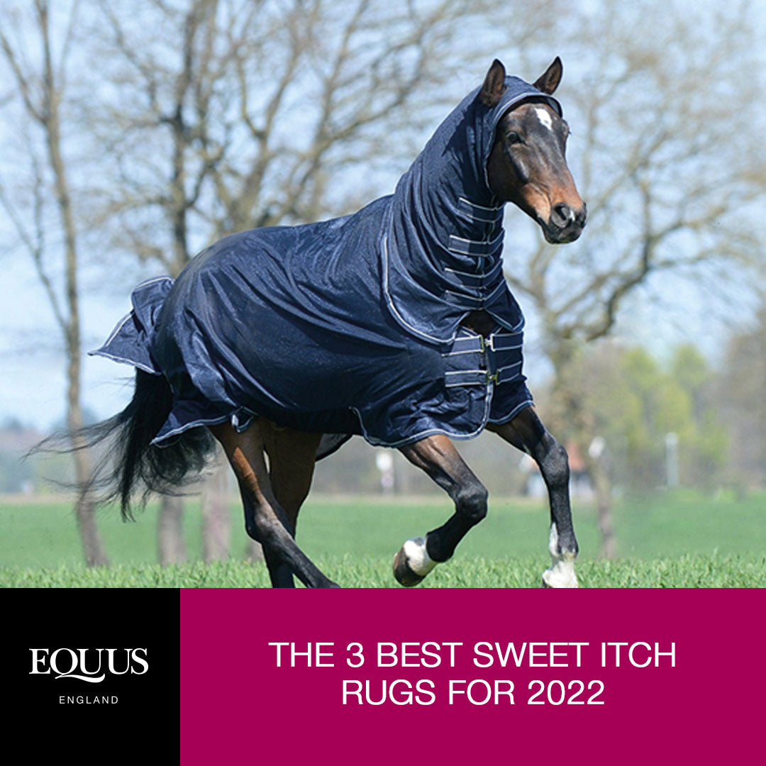 Horseware sweet itch outlet rug