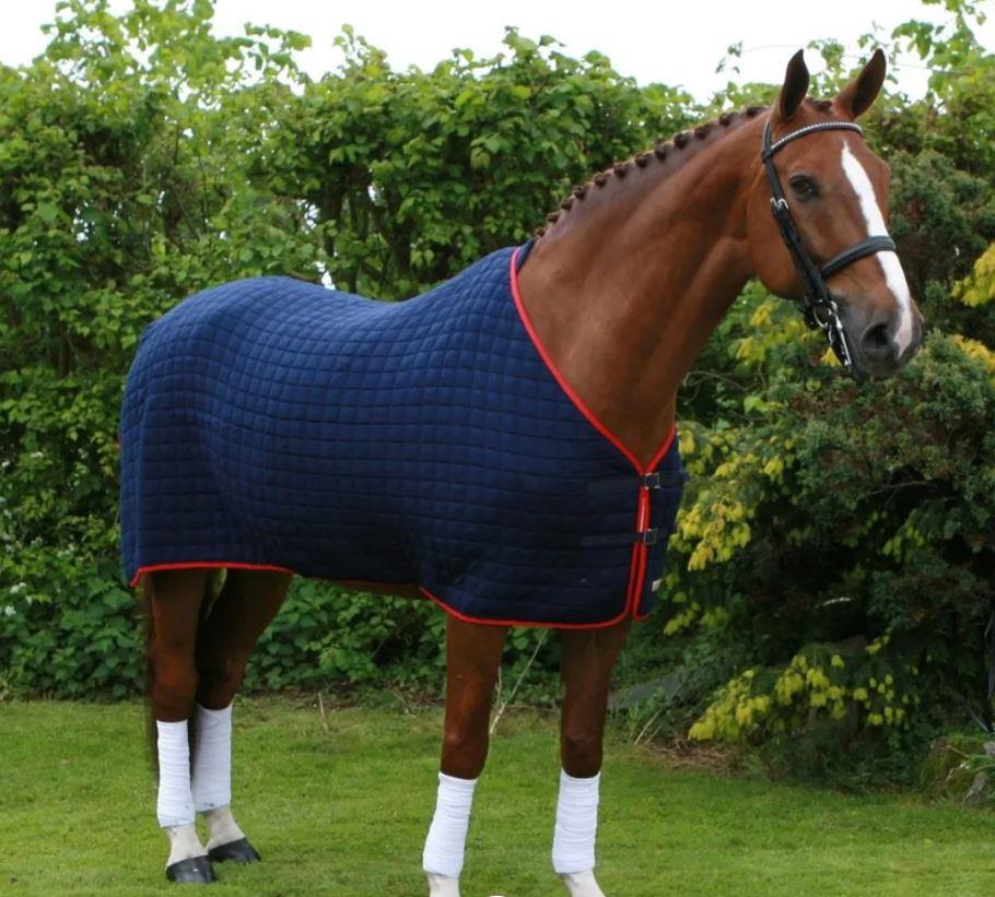 Thermatex Original Cooler Rug (SHR) Red With Beige Trim Size 5'9