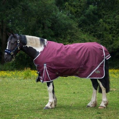 Gallop 1200D TROJAN Xtra 50g Duraproof Turnout Rug