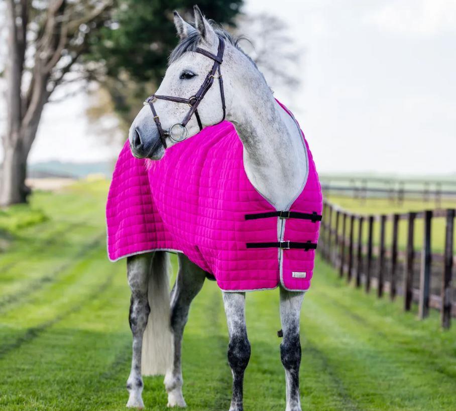 Thermatex Original Cooler Rug (SHR) Red With Beige Trim Size 5'9