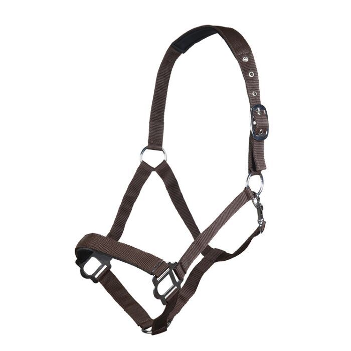 Hkm Sydney Headcollar with Soft Padding - Cob · Neon Orange