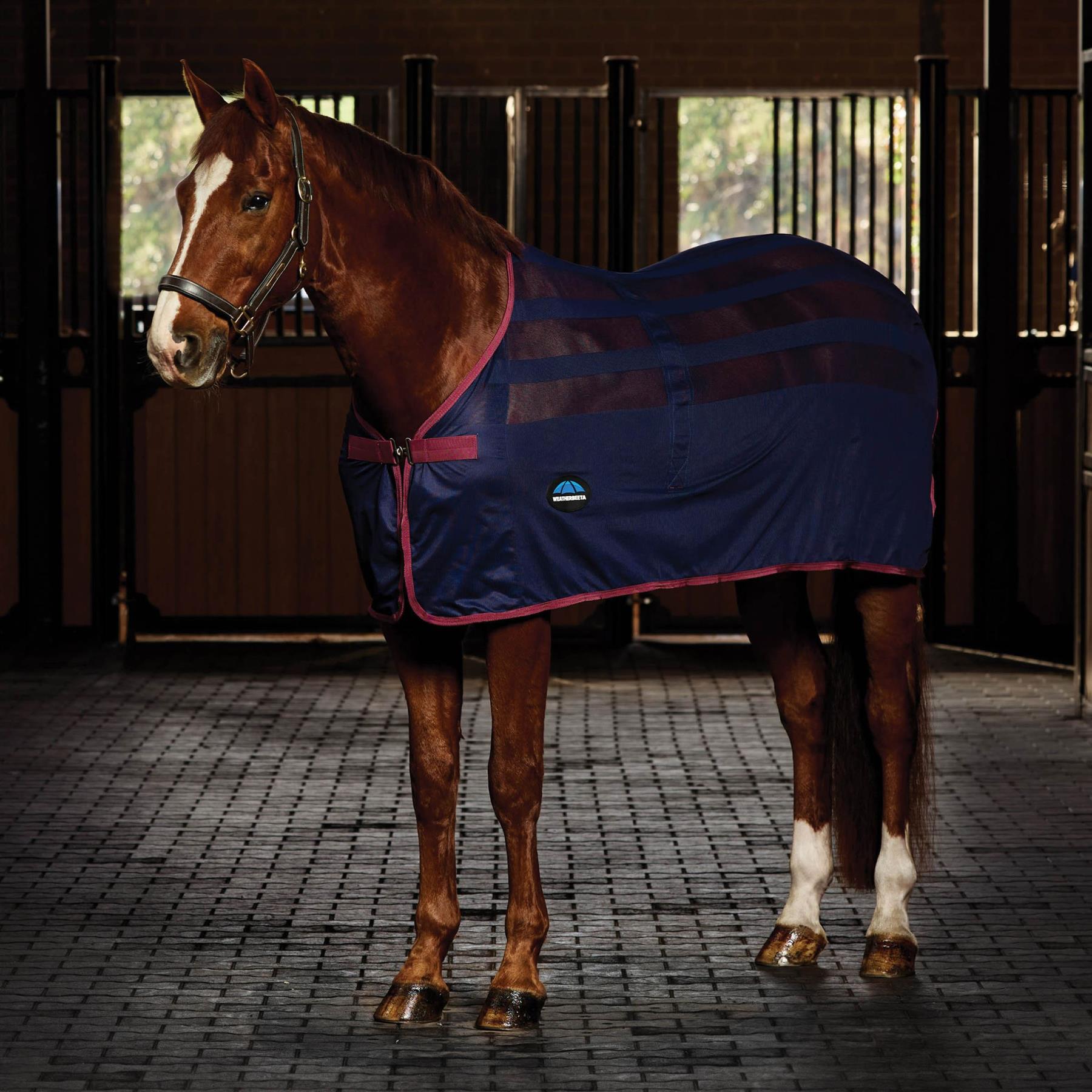 Weatherbeeta Unisex Scrim Cooler Standard Neck - · Navy/Burgundy 7'0/160Cm