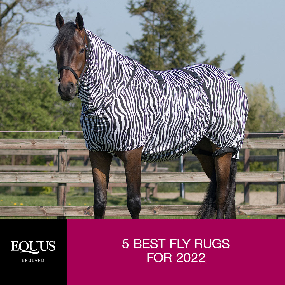 5 of the best Fly Rugs for 2022