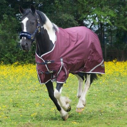 Gallop 1200D TROJAN Xtra 50g Duraproof Turnout Rug