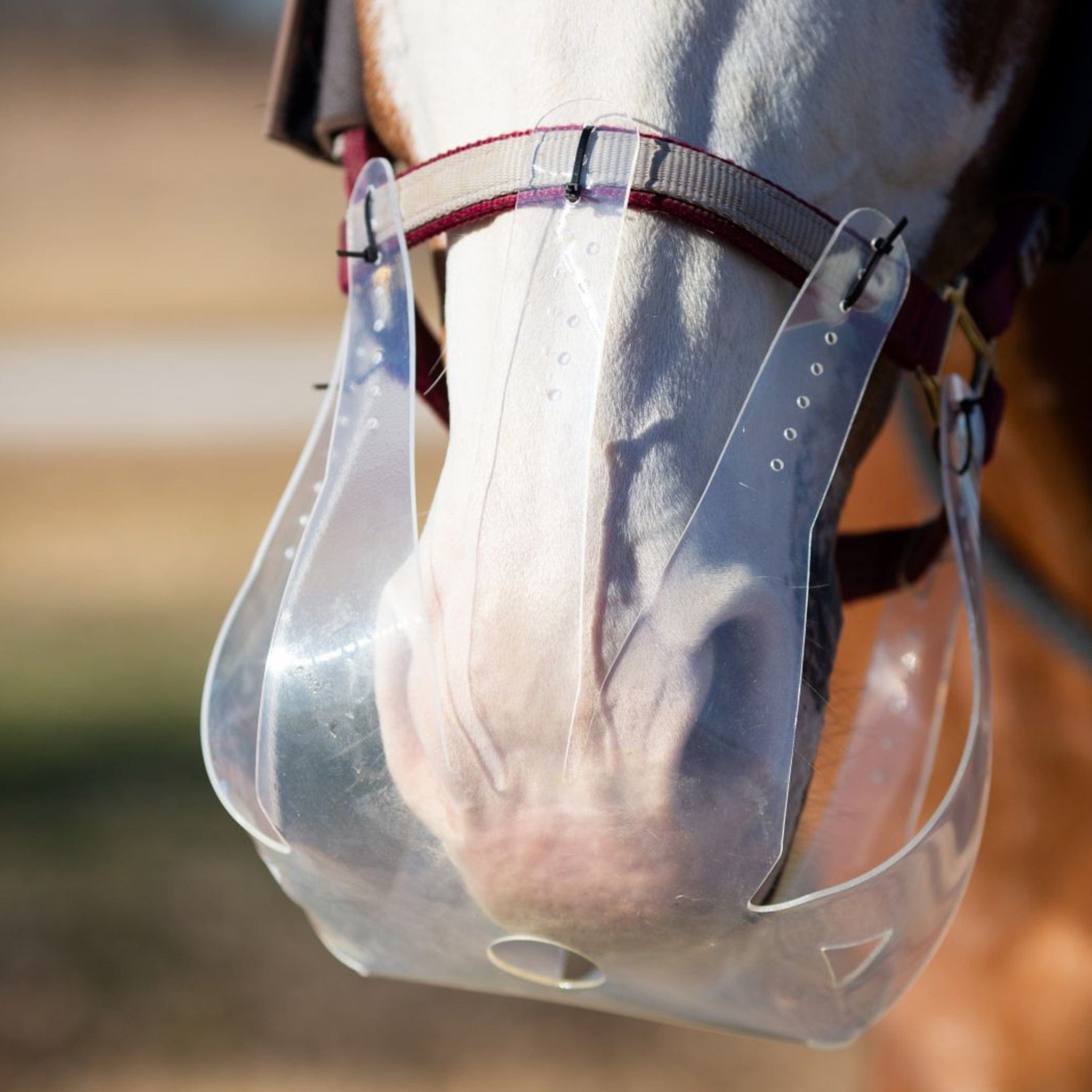 ThinLine Flexible Filly Grazing Muzzle Small (Mini - Pony 23 inches)