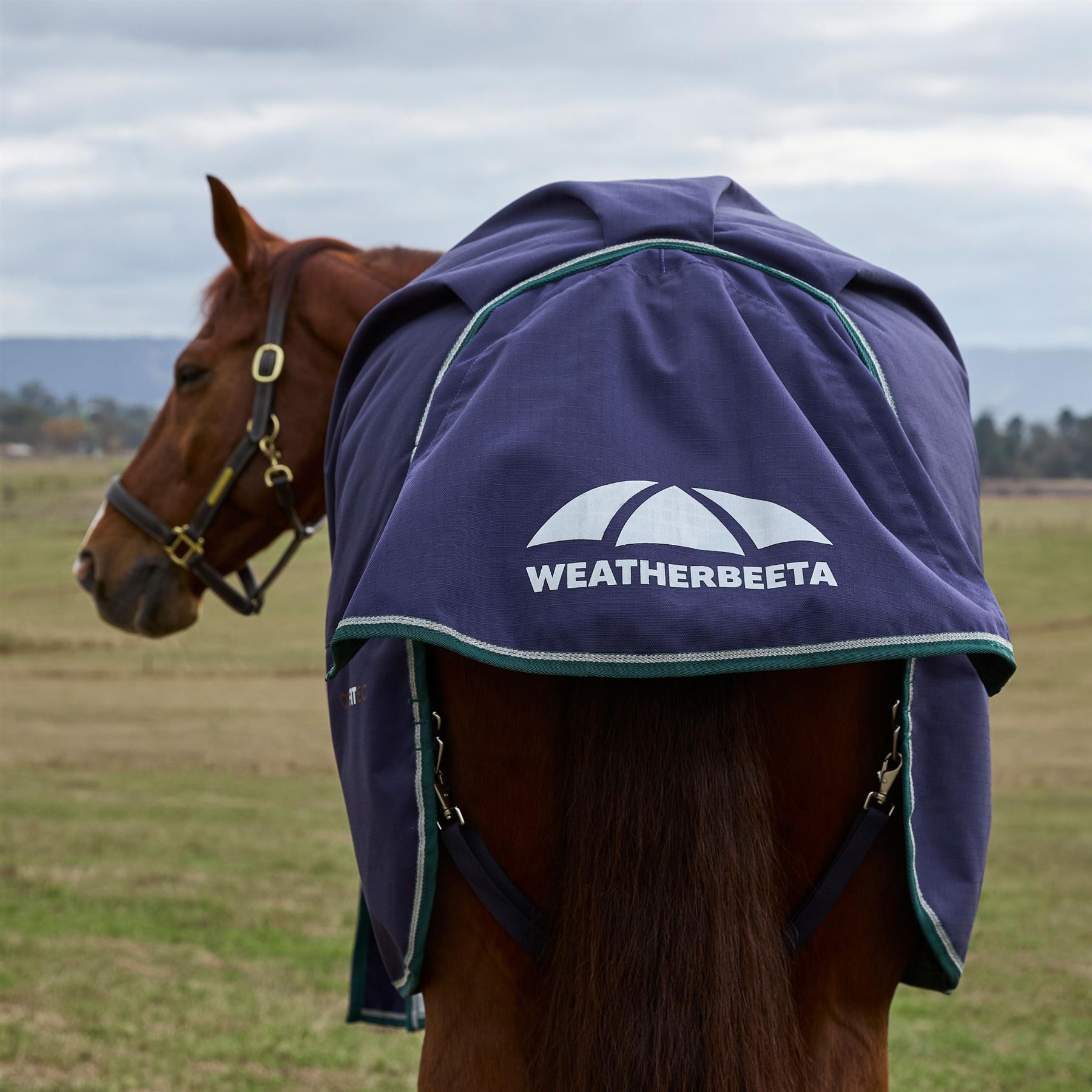 Weatherbeeta Comfitec Plus Dynamic Turnout 100G