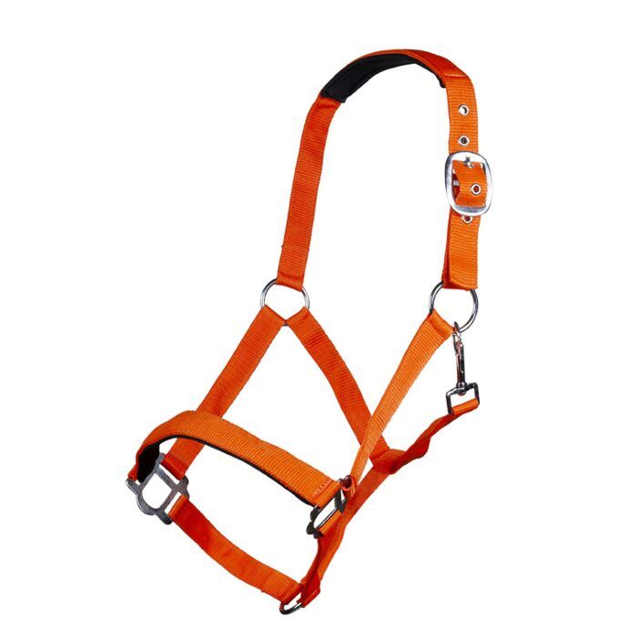 Hkm Sydney Headcollar with Soft Padding - Pony · Neon Orange