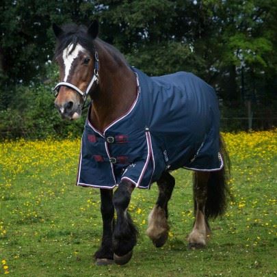 Gallop 600D TROJAN 50g Duraproof Turnout Rug