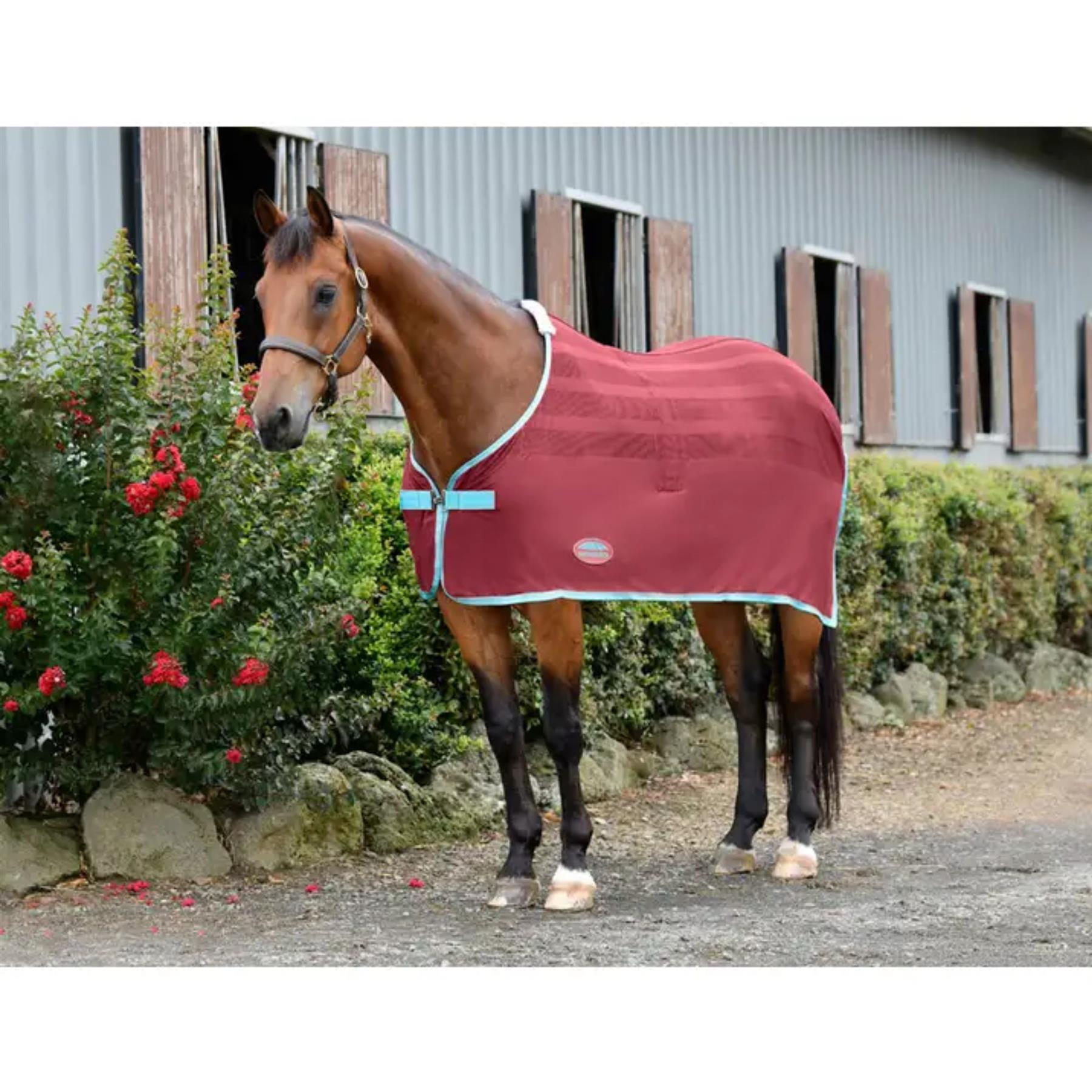 Weatherbeeta Scrim Cooler Standard Neck Rug