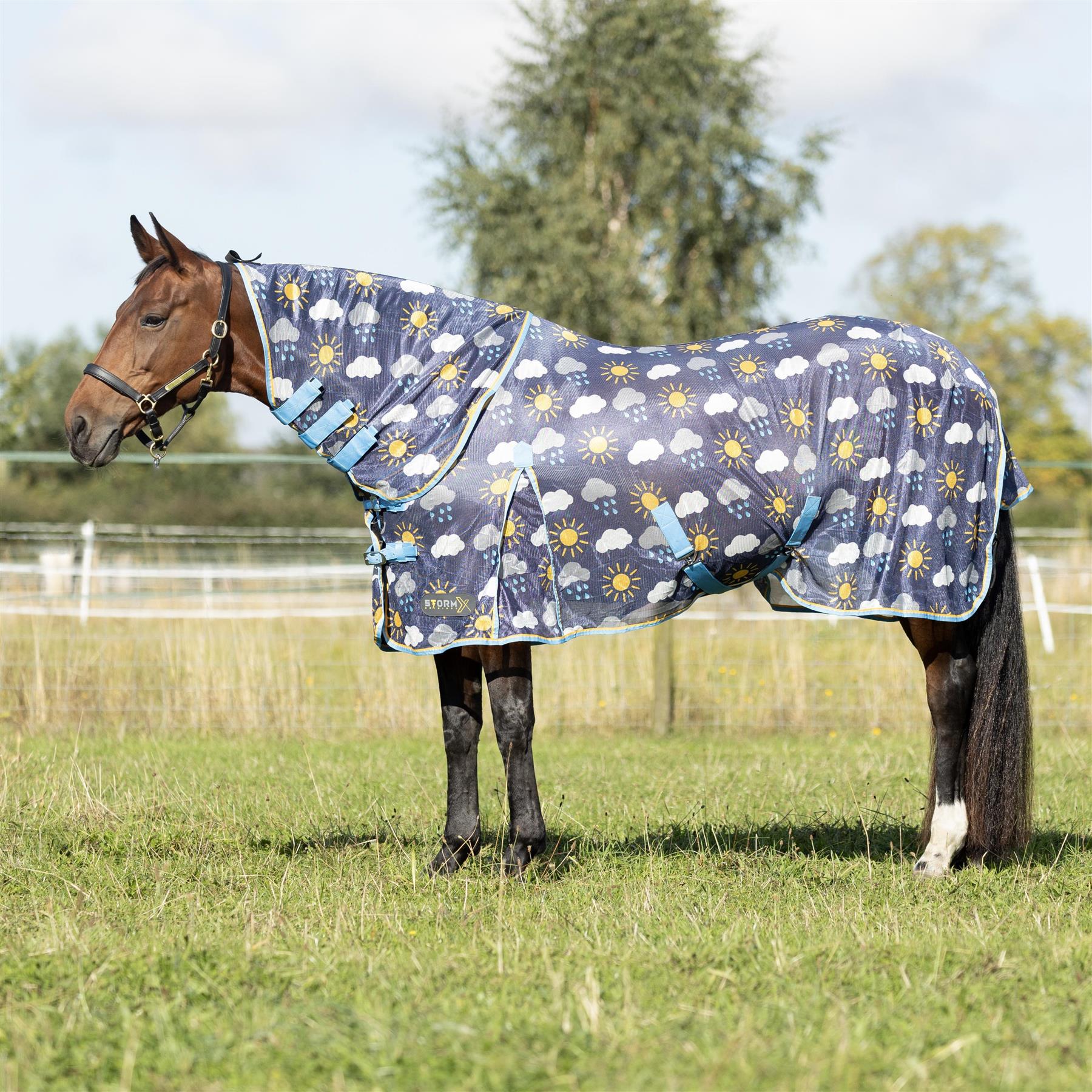 StormX Original Come Rain or Shine Combi Fly Rug