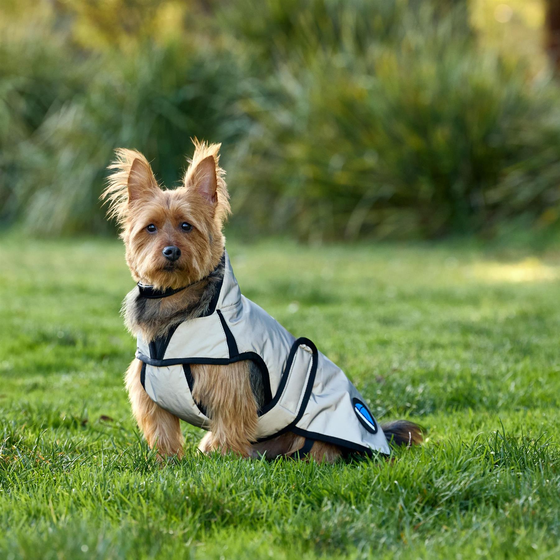 Weatherbeeta Comfitec Reflective Showerproof Dog Coat