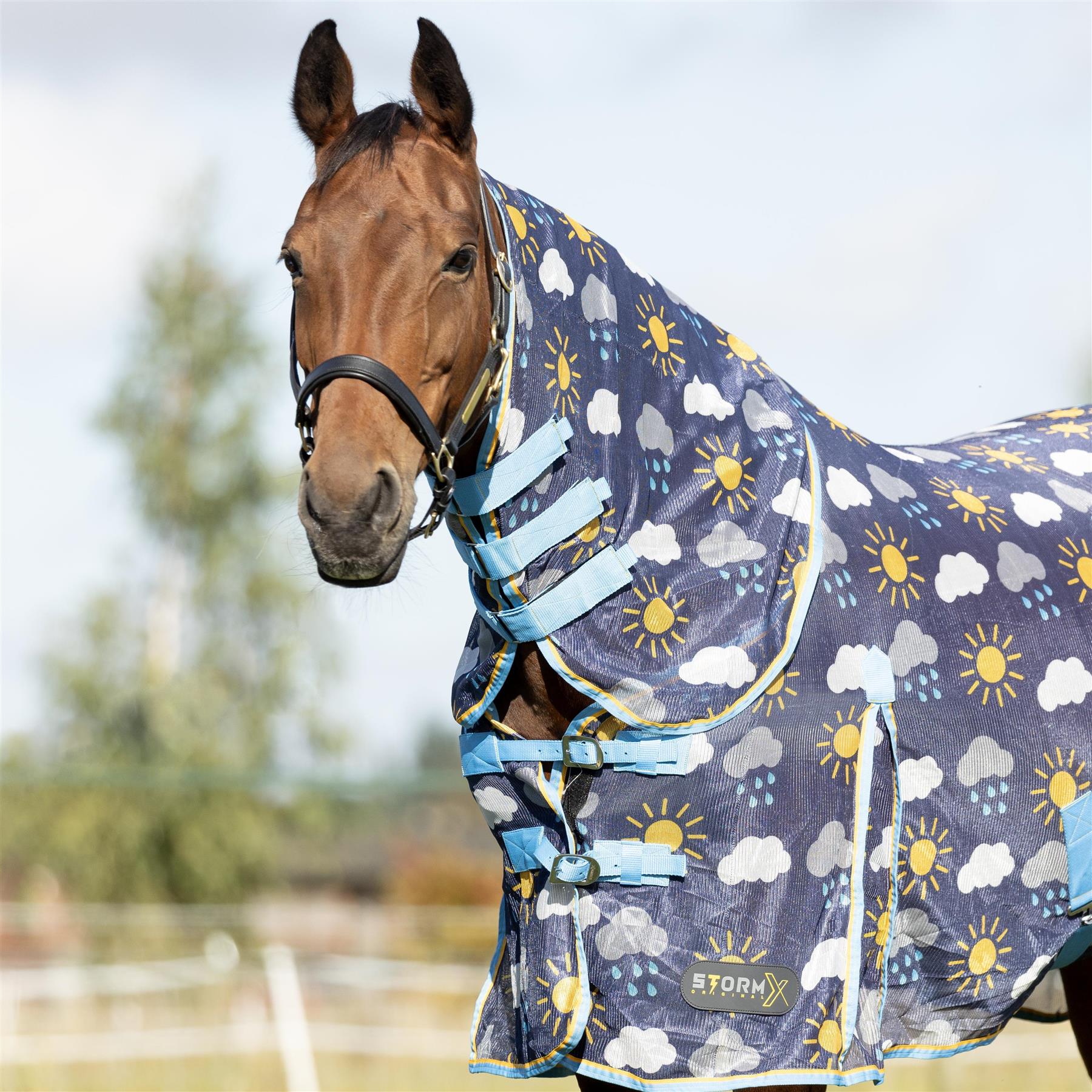 StormX Original Come Rain or Shine Combi Fly Rug