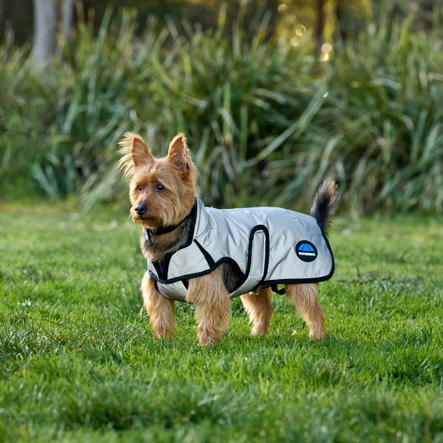 Weatherbeeta Comfitec Reflective Showerproof Dog Coat