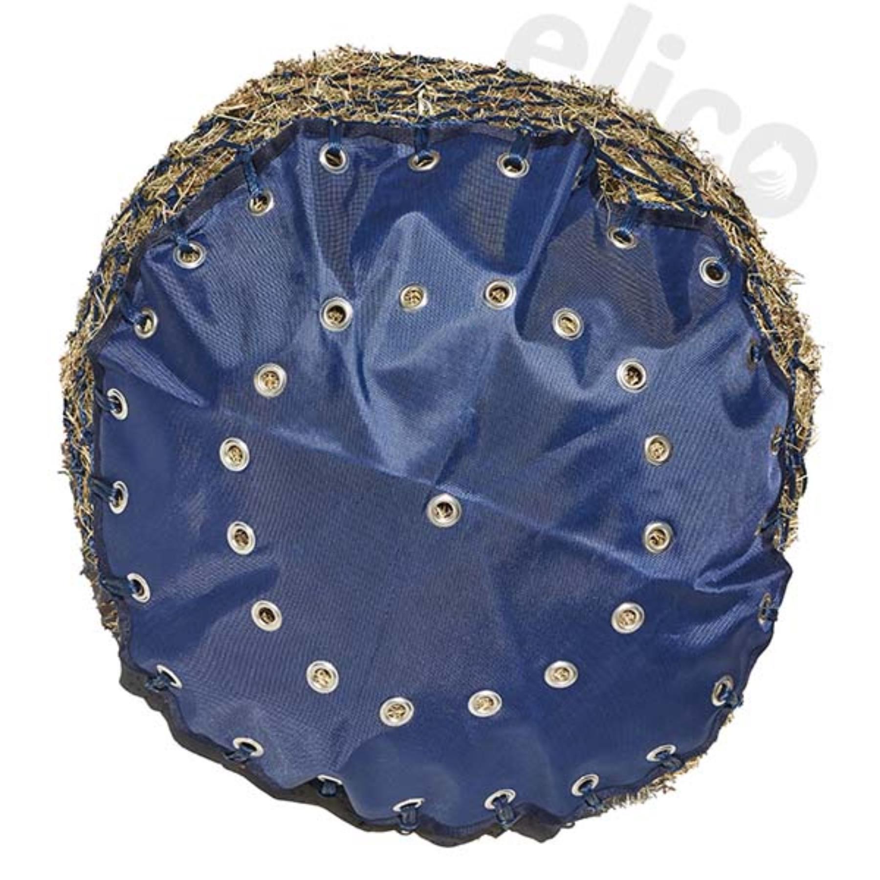 Elico Dorchester Haynet