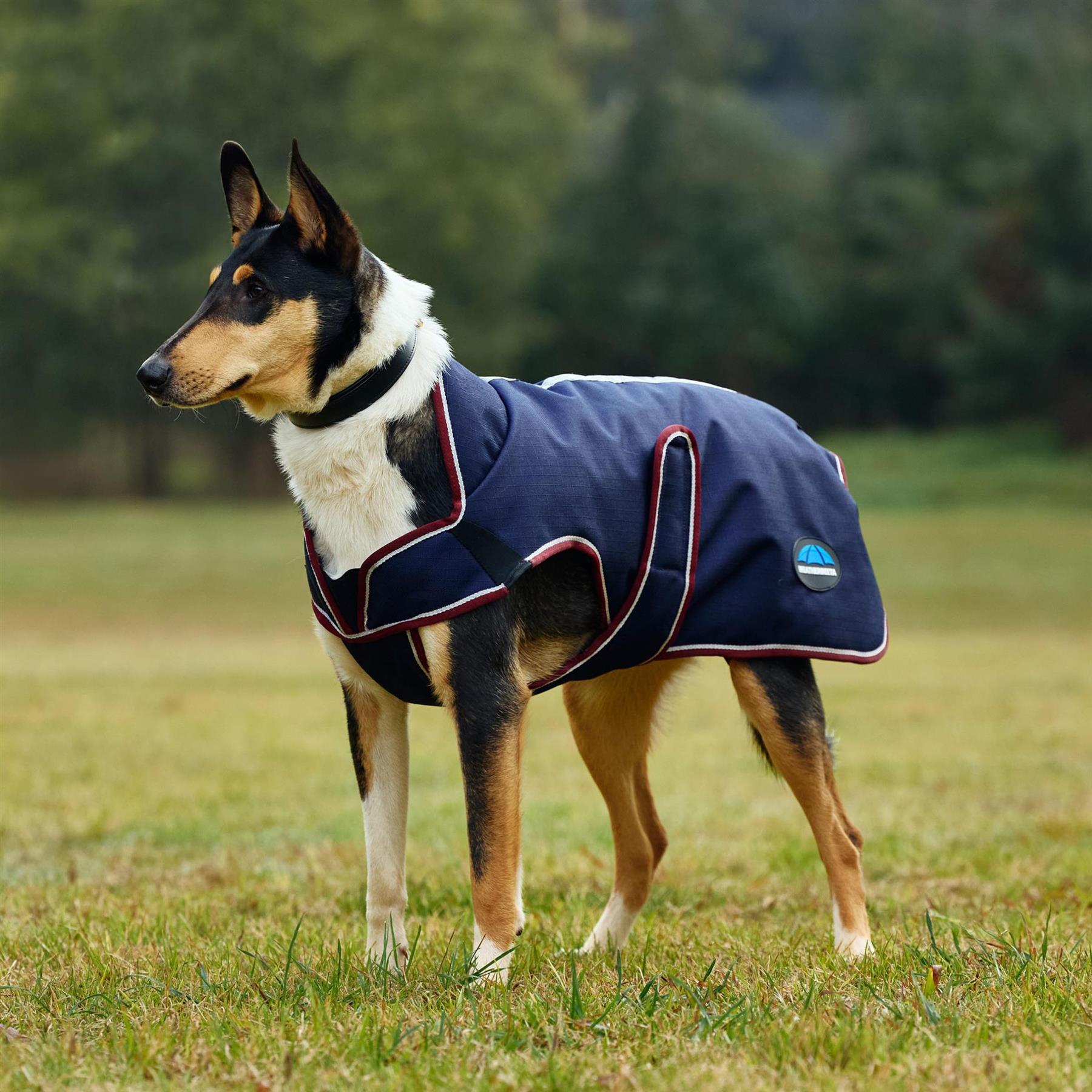 Weatherbeeta Comfitec Premier Deluxe Waterproof Dog Coat
