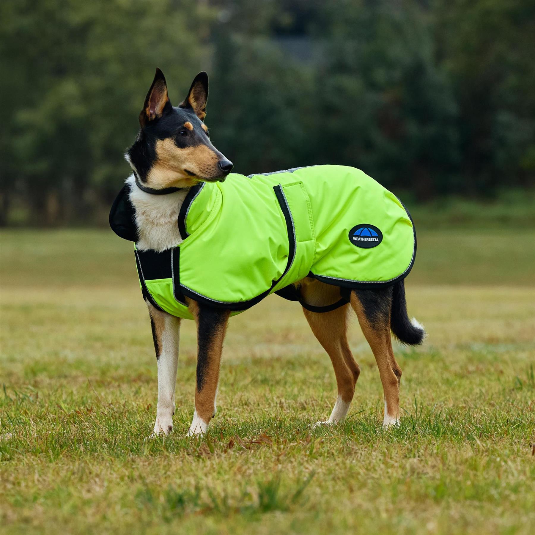 Weatherbeeta Comfitec Reflective 300D Deluxe Showerproof Dog Coat