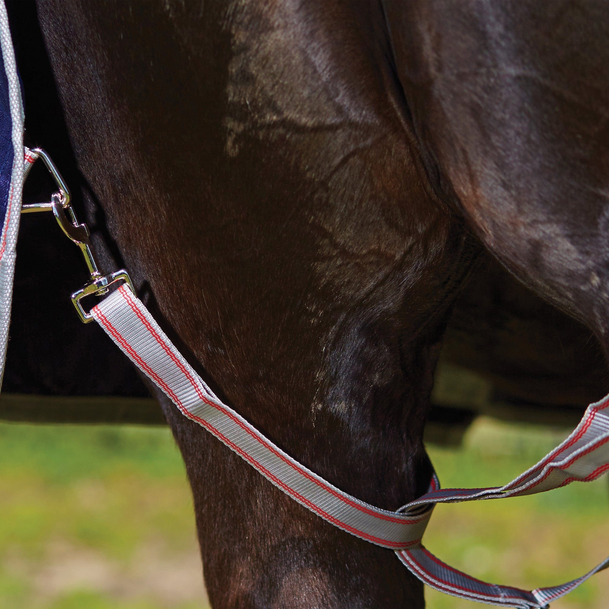 Weatherbeeta ComFiTec Essential 360g Combo Neck Turnout Rug